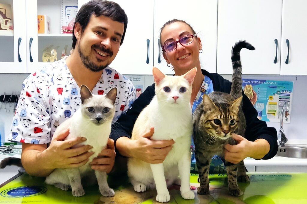 marina-antonio-clinica-veterinaria-gatos
