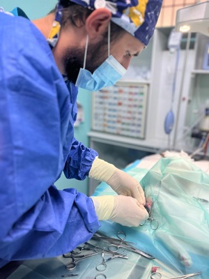 paddy esterilizacion castracion orquiectomia