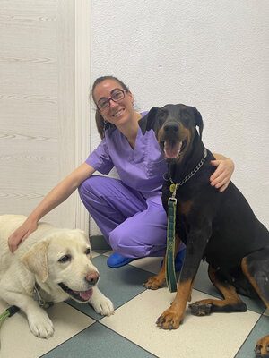 familia-canina-geriatria-veterinaria