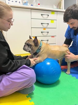 vanesa-auxiliar-rehabilitacion-canina